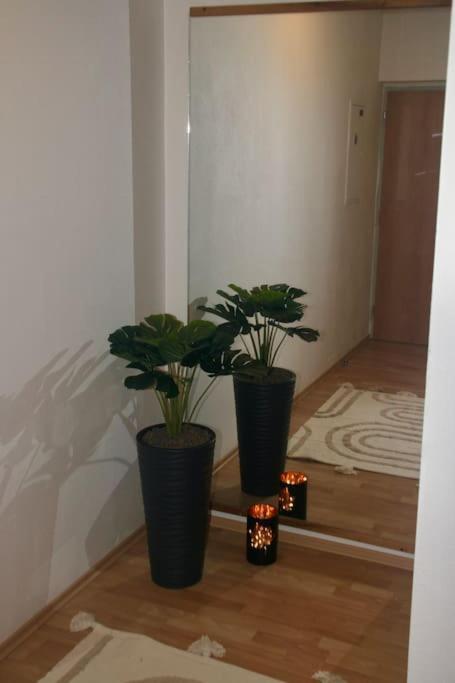 Jasmine Apartment - Free Parking - City Center - Skibus - Tatralandia 5Km Липтовски-Микулаш Экстерьер фото